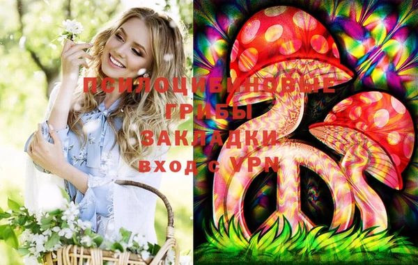 соль курить ск Алзамай