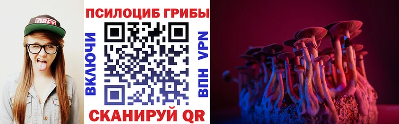 Галлюциногенные грибы GOLDEN TEACHER Карачаевск